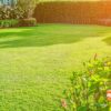Easy Ways ta Maintain a Healthy Lawn